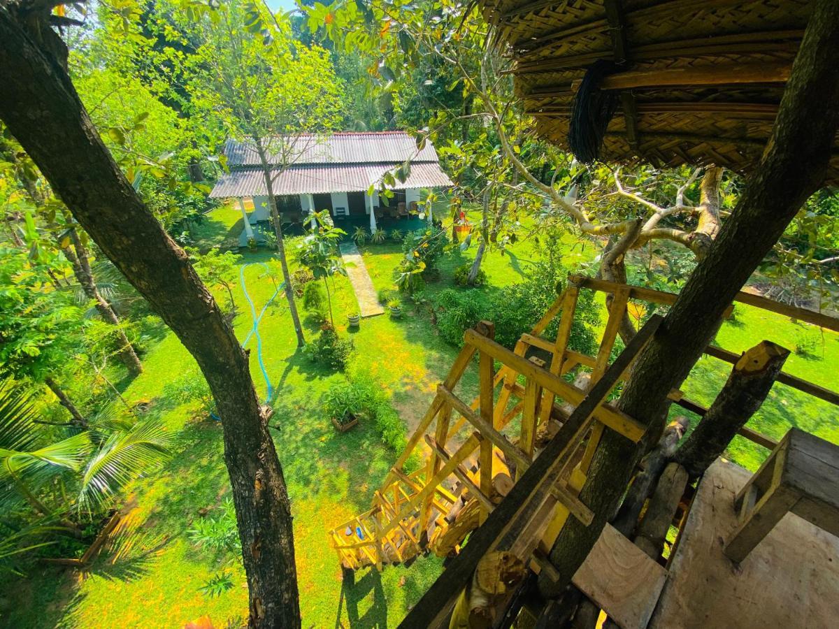 Lucky Villa Szigirija Kültér fotó